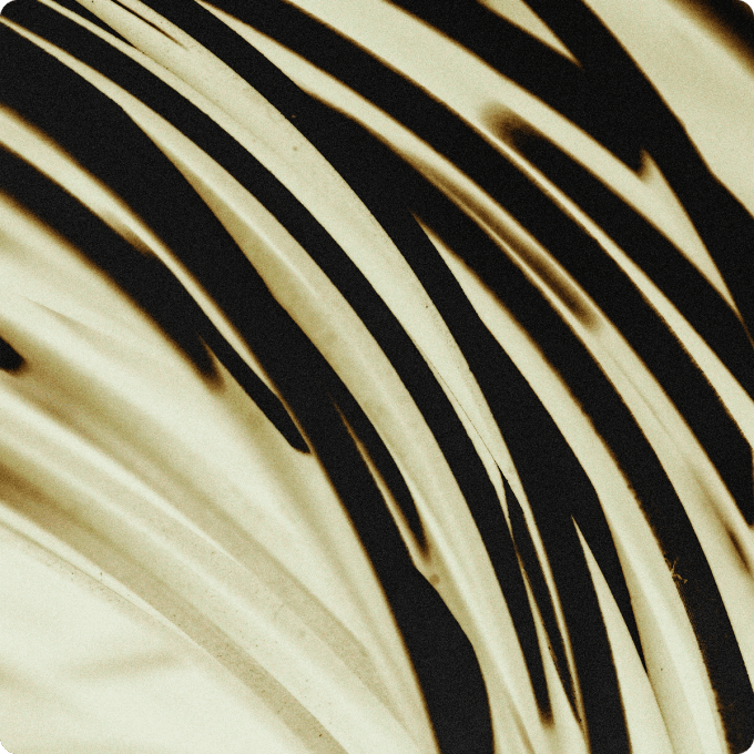 Abstract close-up pattern with sweeping black and beige curved lines creating a sense of motion and texture.
